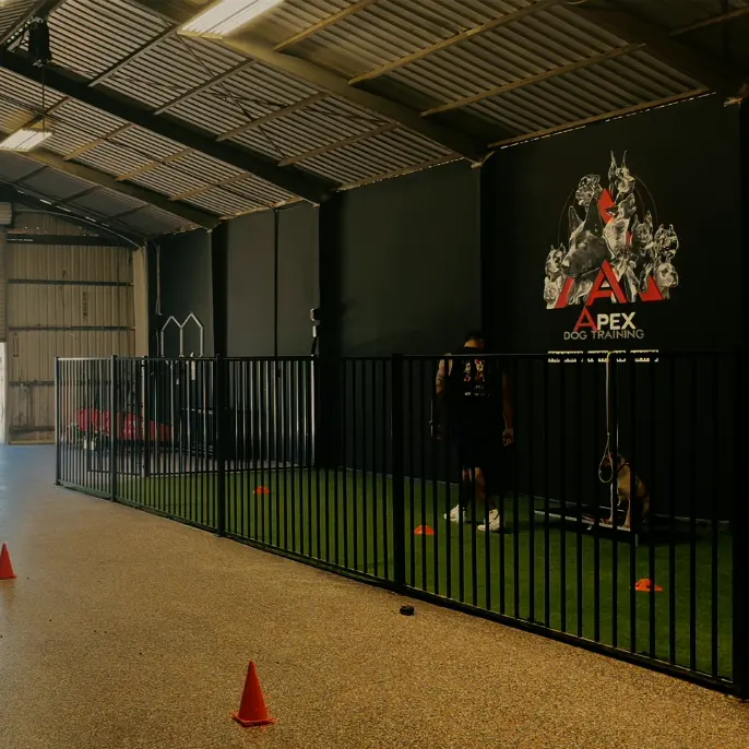 The Apex training facility: fenced turf field, with a trainer working a dog beside the branded wall